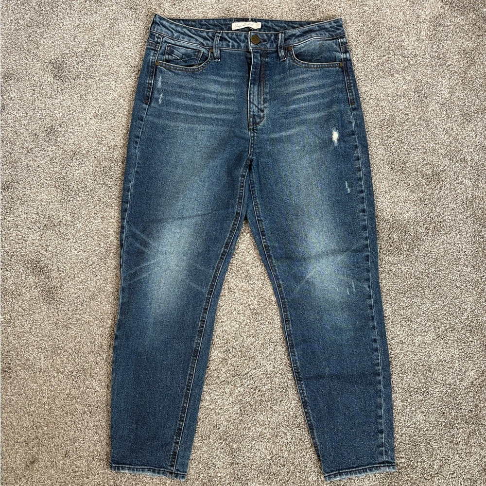 Unpublished Mom Jean 30 Dark Wash High Rise Distressing Blue Denim